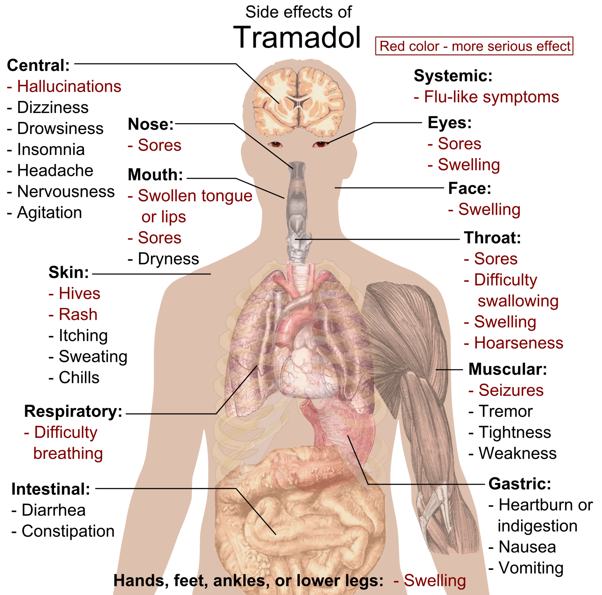 How To Use Tramadol For Opiate Withdrawal Opiate Addiction Support