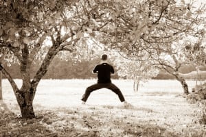 trauma meditate