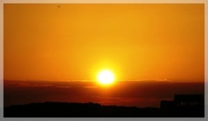 suboxone withdrawal remedies