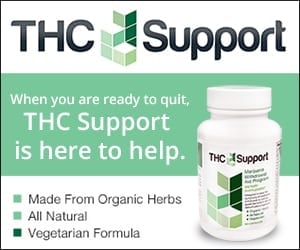 thc support reviews