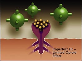 does suboxone get you high