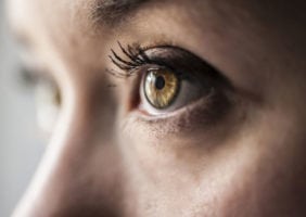 does suboxone get you high