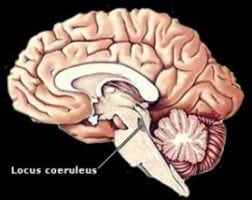 how to use methadone for opiate withdrawal