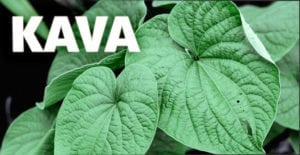 kratom and kava