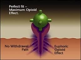 what helps with opiate withdrawal
