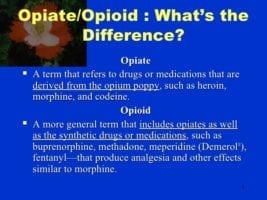 difference between opioid and opiate