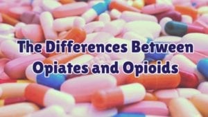 difference between opioid and opiate
