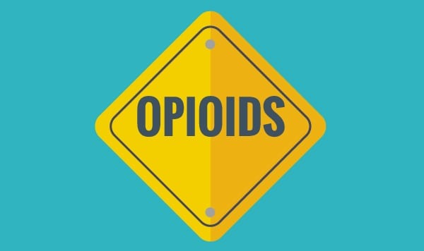 difference between opioid and opiate