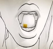 is suboxone an opioid