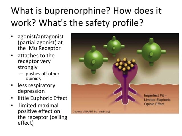 is suboxone an opioid