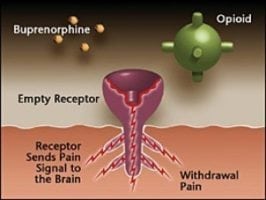 suboxone and xanax