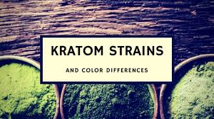 best kratom for pain relief