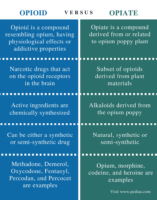 difference between opioid and opiate