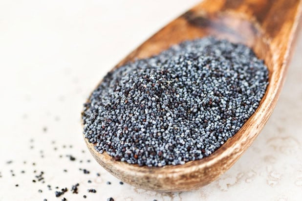 poppy seed high