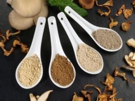 adaptogens for opiate addiction recovery