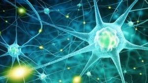 oxycodone withdrawal symptoms