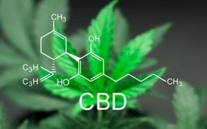 cbd for opiate withdrawal