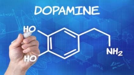 mucuna pruriens for opiate withdrawal