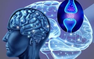 gaba for opiate withdrawal