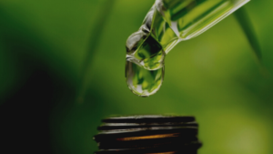 l theanine study for opioid withdrawal and anxiety