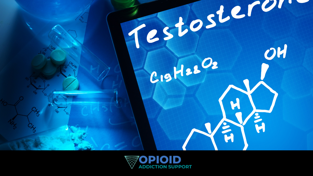 does testosterone help with getting off opioids?