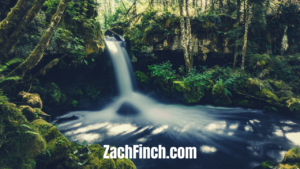 zach finch photography