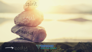 holistic hierarchy of recovery model of treatment