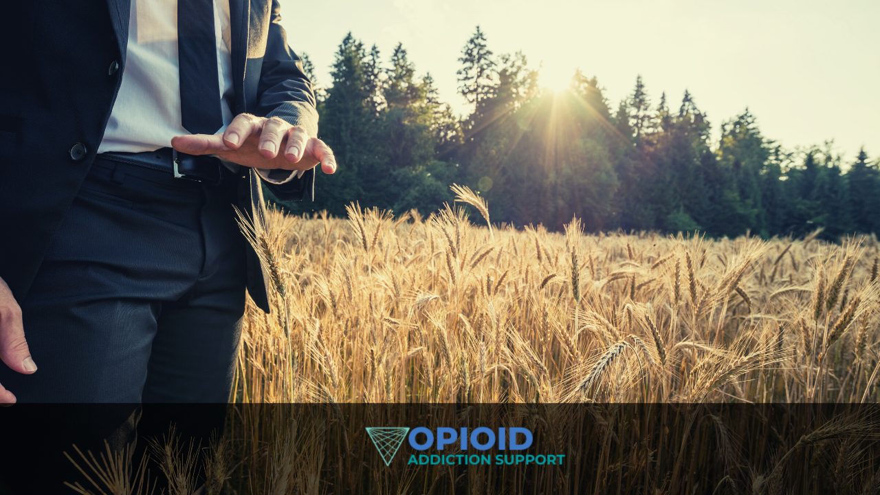 holistic addiction recovery podcast