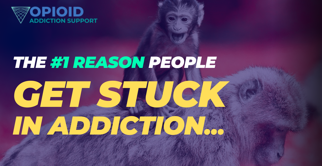 addiction dopamine pleasure reward instant gratification science